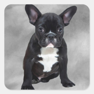 Adesivo Quadrado Tinta óleo aquarela de Bulldog Francês Sentado