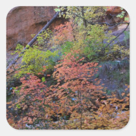 Adesivo Quadrado Todas as cores