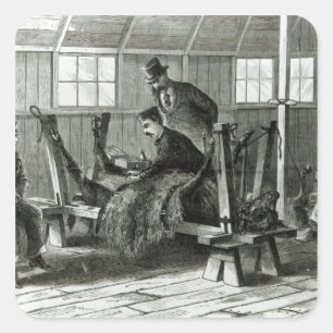 Adesivo Quadrado Tomar vírus do vitelo