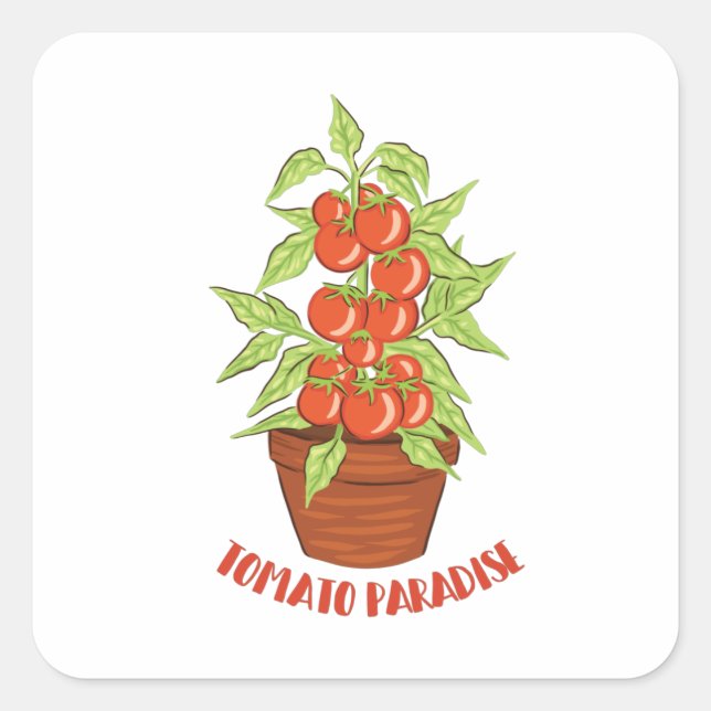 Adesivo Quadrado TOMATO PARADISE Garden Lover (Frente)