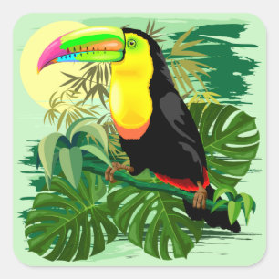 Adesivo Quadrado Toucan na floresta húmida verde de Amazónia
