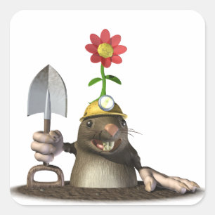 Adesivo Quadrado Toupeira em um furo