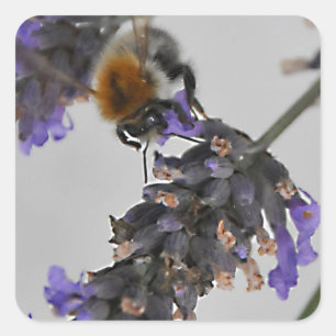 Adesivo Quadrado Trabalhadores Maravilhosos da Natures