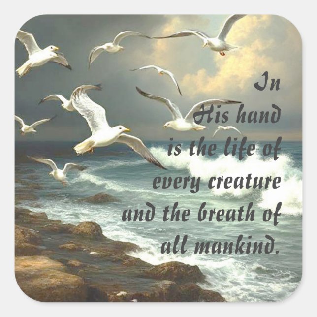 Adesivo Quadrado Trabalho 12:10 Escritura Vida de Cada Criatura (Frente)