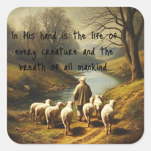 Adesivo Quadrado Trabalho 12:10 Escritura Vida de Cada Criatura (Frente)