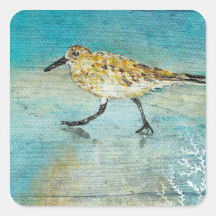 Adesivo Quadrado Trabalho de arte do Sandpiper Beach Shorebird Weat