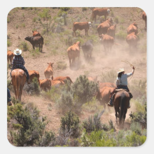 Adesivo Quadrado Três vaqueiros e vaqueiras que conduzem o gado