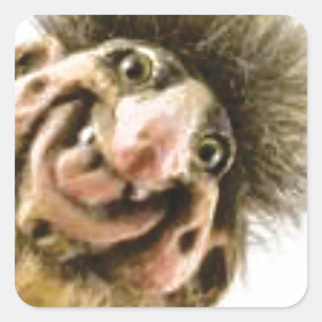 Adesivo Quadrado Troll Busta (Frente)