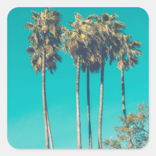 Adesivo Quadrado Tropical Palm Trees California Retro