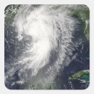 Adesivo Quadrado Tropical Storm Cindy