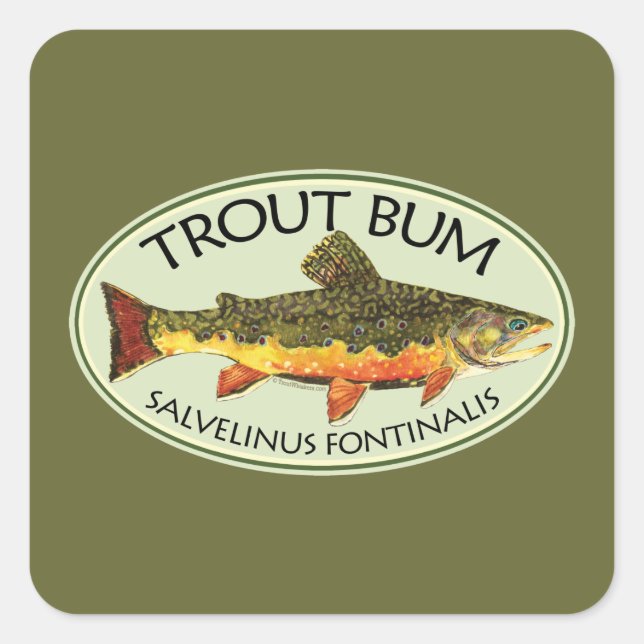 Adesivo Quadrado TROUT BUM - Pesca de mosca Brook Brookie (Frente)