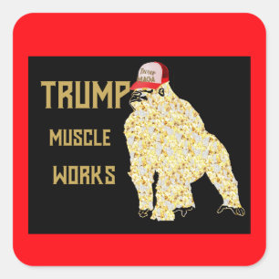 ADESIVO QUADRADO TRUMP