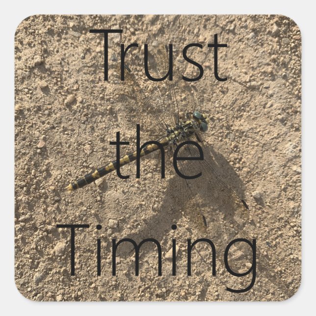 Adesivo Quadrado Trust The Timing - Sticker (Frente)