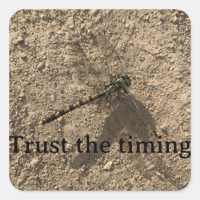 Adesivo Quadrado Trust the Timing Sticker (Frente)