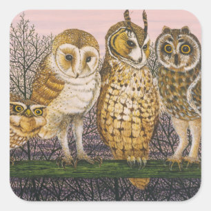 Adesivo Quadrado Tu-whit