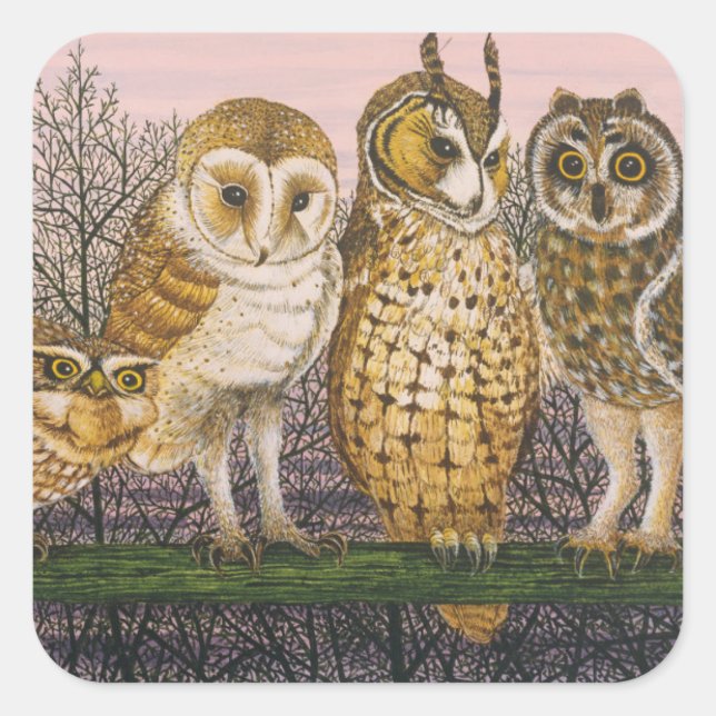 Adesivo Quadrado Tu-whit (Frente)