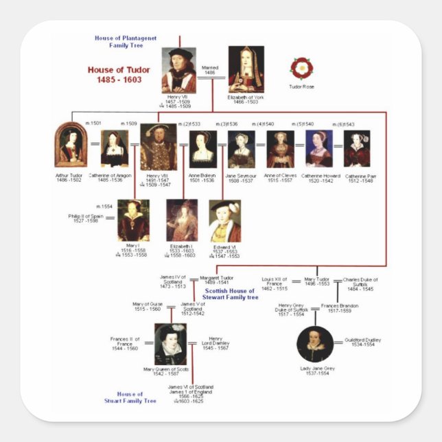 Adesivo Quadrado Tudors Sticker (Frente)