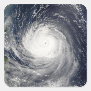 Adesivo Quadrado Tufão Talim