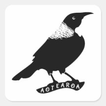 Tui | Nova Zelândia / Aotearoa