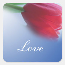 tulipa vermelha solteiro