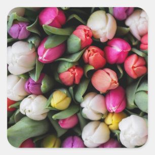 Adesivo Quadrado Tulipas Flores Coloridas Páscoa