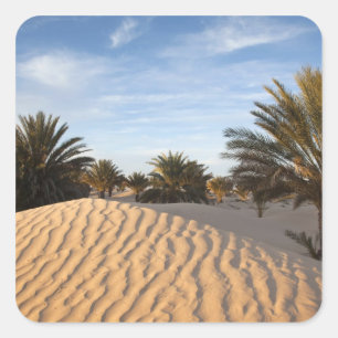Adesivo Quadrado Tunísia, Deserto do Saara, Douz, Grande Duna, palm