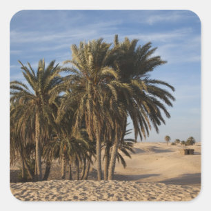 Adesivo Quadrado Tunísia, Deserto do Sara, Douz, Excelente Duna, pa