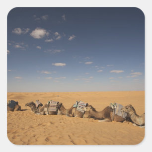 Adesivo Quadrado Tunísia, Zona de Ksour, Ksar Ghilane, Grand Erg 4