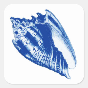 Adesivo Quadrado Turban Conch Shell, Indigo Azul e Branco