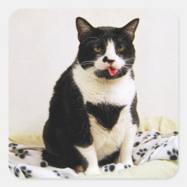 Adesivo Quadrado Tuxedo Cat Saindo De Sua Língua