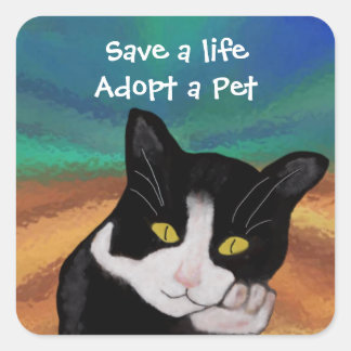 Adesivo Quadrado Tuxedo Pet Adotion Stickers