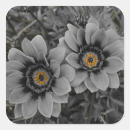 Adesivo Quadrado Two of a Kind