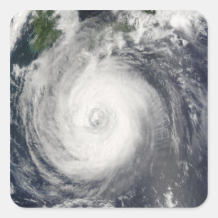 Adesivo Quadrado Typhoon Chaba