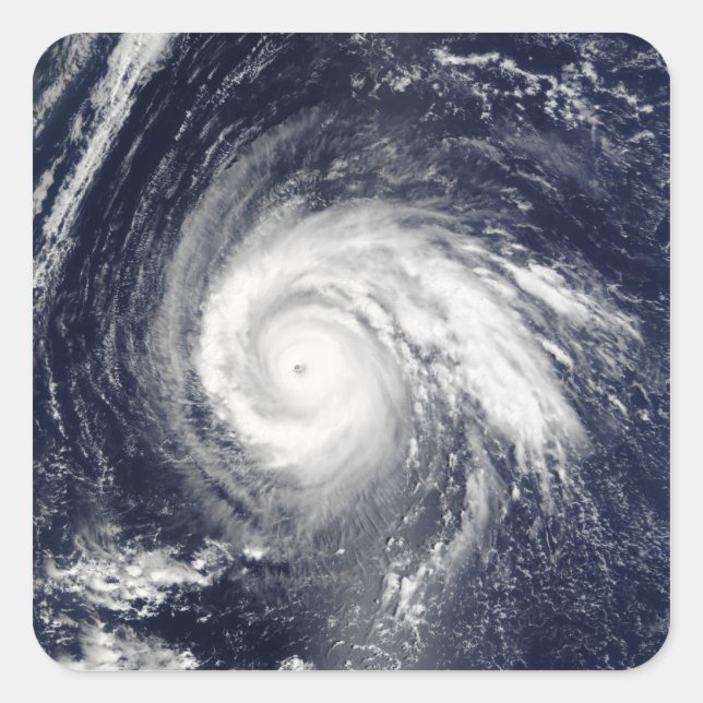 Adesivo Quadrado Typhoon Higos (Frente)