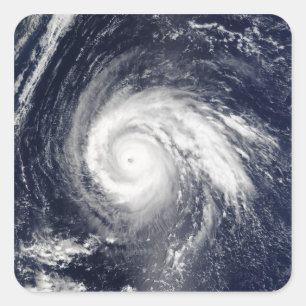 Adesivo Quadrado Typhoon Higos