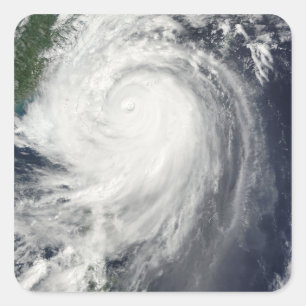 Adesivo Quadrado Typhoon Jangmi