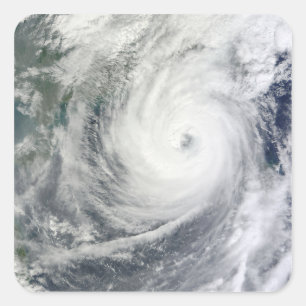 Adesivo Quadrado Typhoon Megi 4