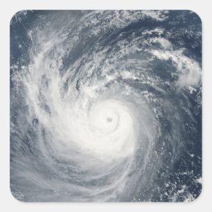 Adesivo Quadrado Typhoon Taim