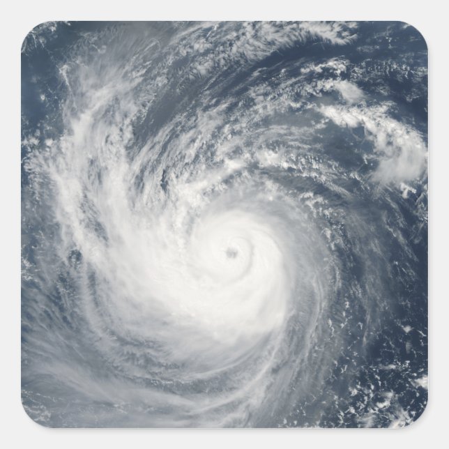 Adesivo Quadrado Typhoon Taim (Frente)