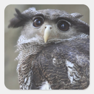 Adesivo Quadrado Ueno, Taitoh-ku, Tokyo, Japão 2