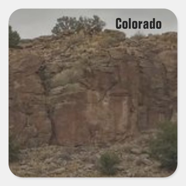 Adesivo Quadrado Um Bonito Colorado Photo Stickers (Frente)