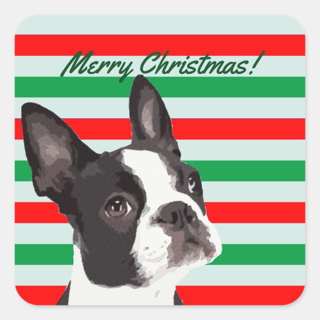Adesivo Quadrado Um feliz Natal de Boston Terrier (Frente)