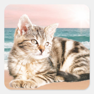 Adesivo Quadrado Um gato listrado mais fofo sentado na praia com o