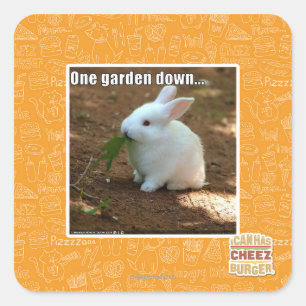 Adesivo Quadrado Um jardim Down�