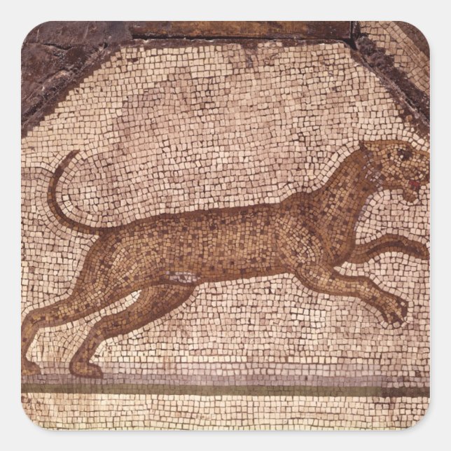 Adesivo Quadrado Um Leopardo (Frente)