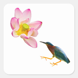 Adesivo Quadrado Um lótus e uma erva