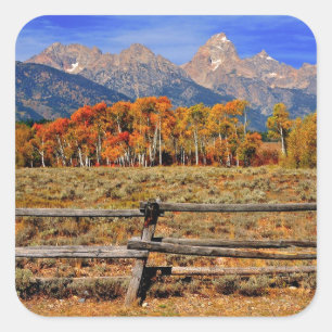 Adesivo Quadrado Um momento em Wyoming no outono