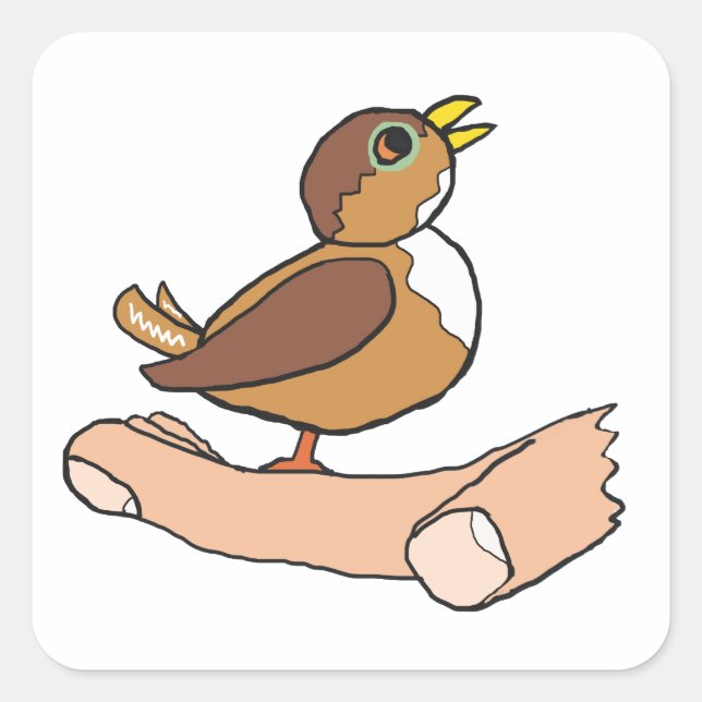 Adesivo Quadrado Um Pássaro Na Mão (Frente)