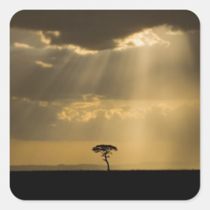 Adesivo Quadrado Um pôr do sol místico no retorno ao acampamento no
