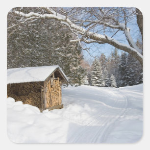 Adesivo Quadrado Uma cena nevado lagoa do Lyford de AMC em pouca